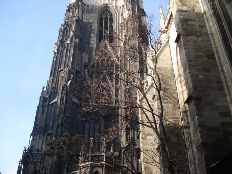 Viewing photos→2010→2010-12-06→158