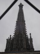 203.jpg - 2010:12:08 12:17:00