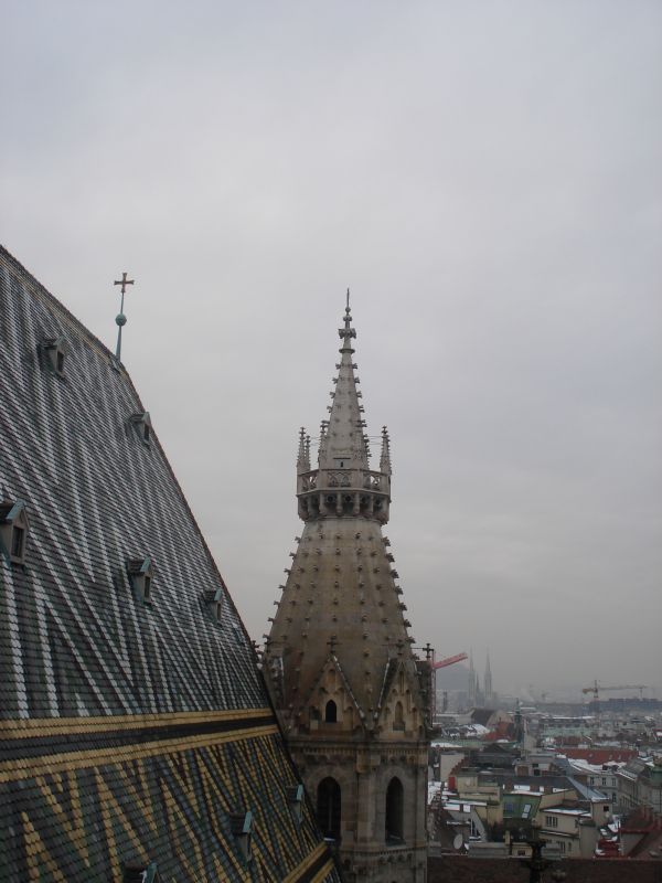 Viewing photos→2010→2010-12-06→204