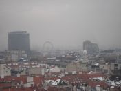 213.jpg - 2010:12:08 12:20:58