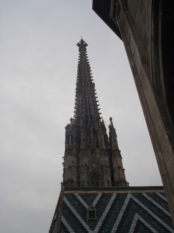 Viewing photos→2010→2010-12-06→217