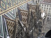 219.jpg - 2010:12:08 12:24:29