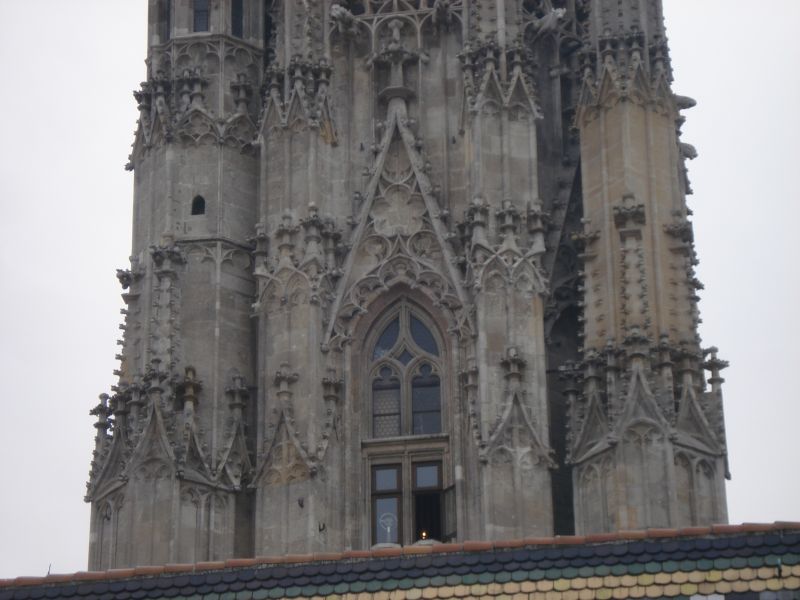 Viewing photos→2010→2010-12-06→223