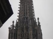 225.jpg - 2010:12:08 12:25:46