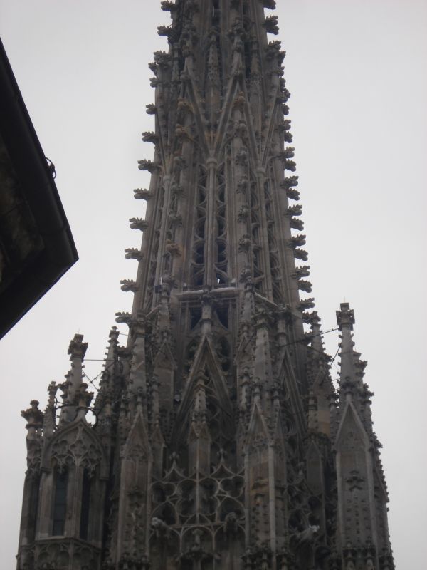 Viewing photos→2010→2010-12-06→226