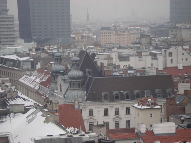 Viewing photos→2010→2010-12-06→230