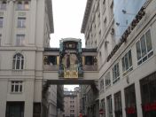 246.jpg - 2010:12:09 10:24:25