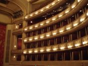 315.jpg - 2010:12:09 18:19:34