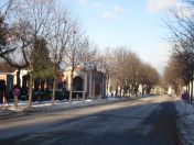 341.jpg - 2010:12:10 13:34:56