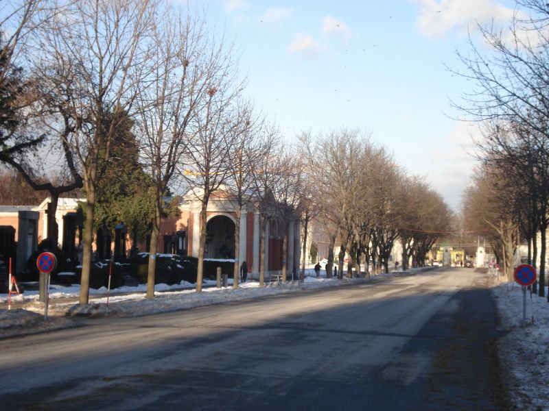 Viewing photos→2010→2010-12-06→341