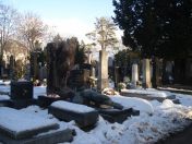 351.jpg - 2010:12:10 13:37:56