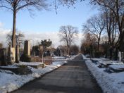 352.jpg - 2010:12:10 13:38:46