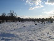 353.jpg - 2010:12:10 13:46:31