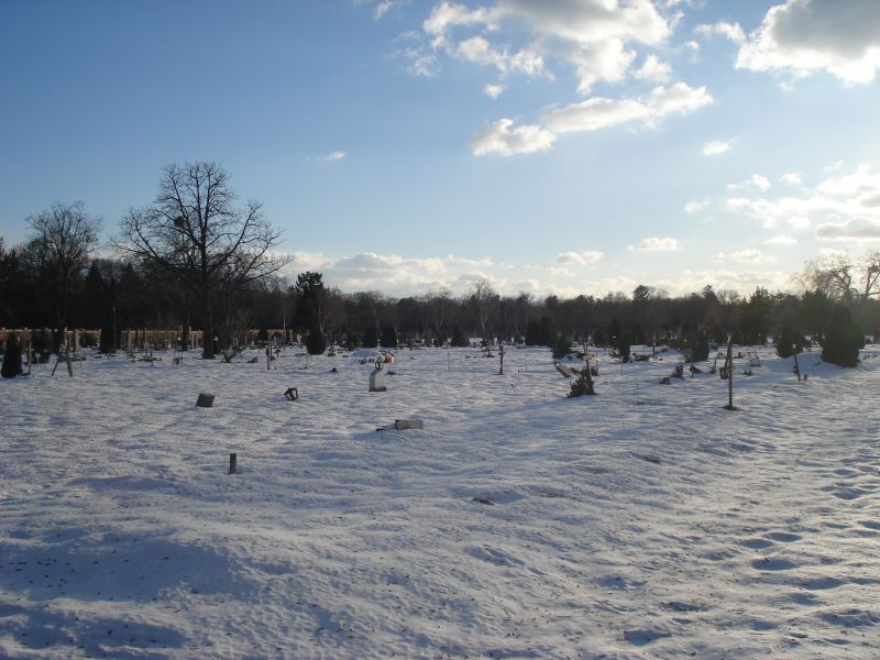 Viewing photos→2010→2010-12-06→353