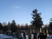 354.jpg - 2010:12:10 13:52:03