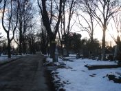 355.jpg - 2010:12:10 13:56:51