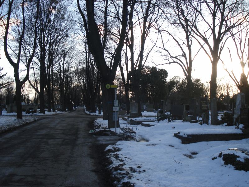 Viewing photos→2010→2010-12-06→355