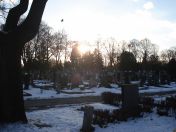 356.jpg - 2010:12:10 13:58:41