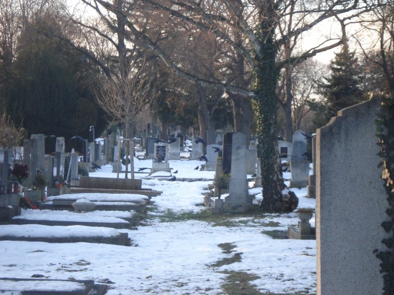 Viewing photos→2010→2010-12-06→357