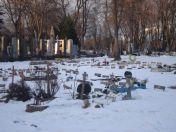 358.jpg - 2010:12:10 14:19:15