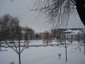 08.jpg - 2010:12:11 13:27:11