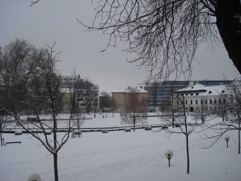 Viewing photos→2010→2010-12-11→08