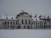 10.jpg - 2010:12:11 13:29:38