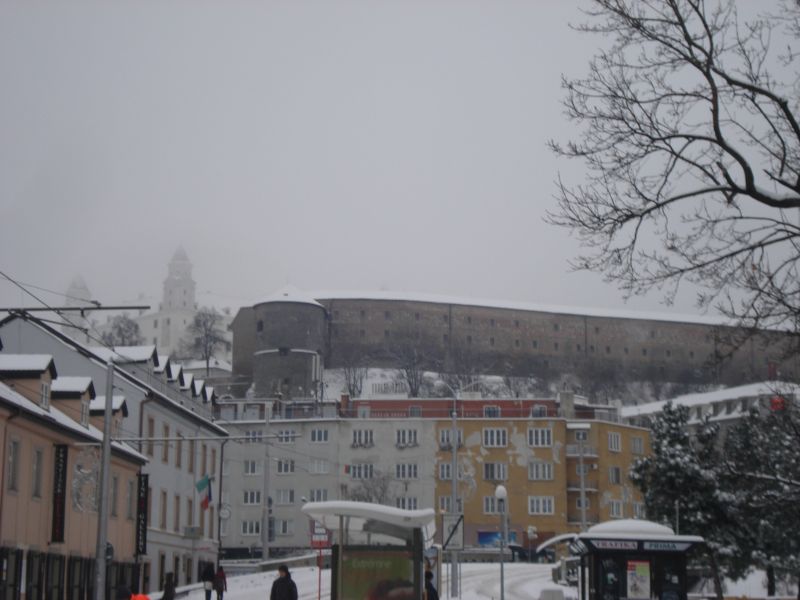 Viewing photos→2010→2010-12-11→17