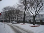 20.jpg - 2010:12:11 13:44:33