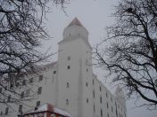 22.jpg - 2010:12:11 13:49:58