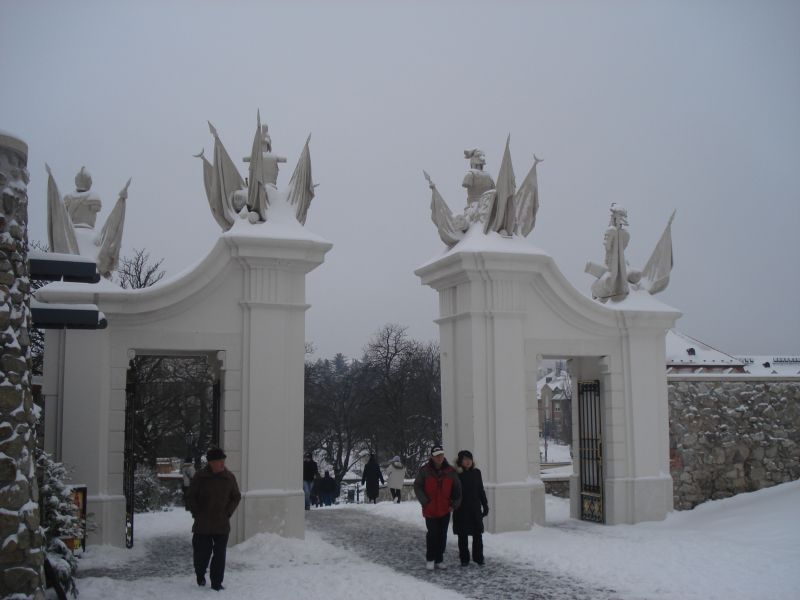 Viewing photos→2010→2010-12-11→24