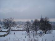 40.jpg - 2010:12:11 13:59:16