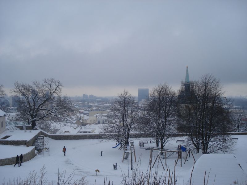 Viewing photos→2010→2010-12-11→40