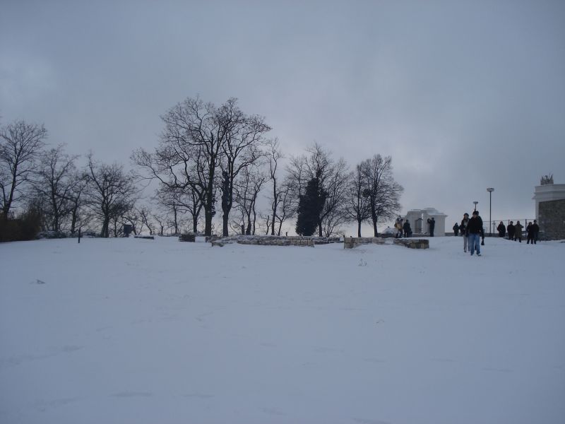 Viewing photos→2010→2010-12-11→42