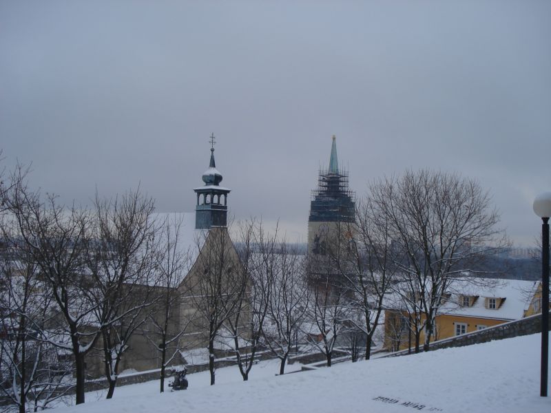 Viewing photos→2010→2010-12-11→47