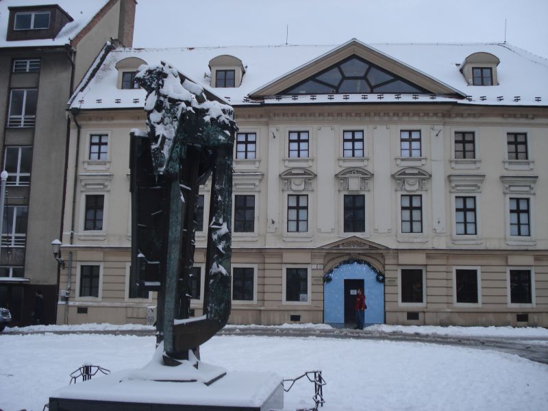 Viewing photos→2010→2010-12-11→53