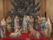 65.jpg - 2010:12:11 14:47:53