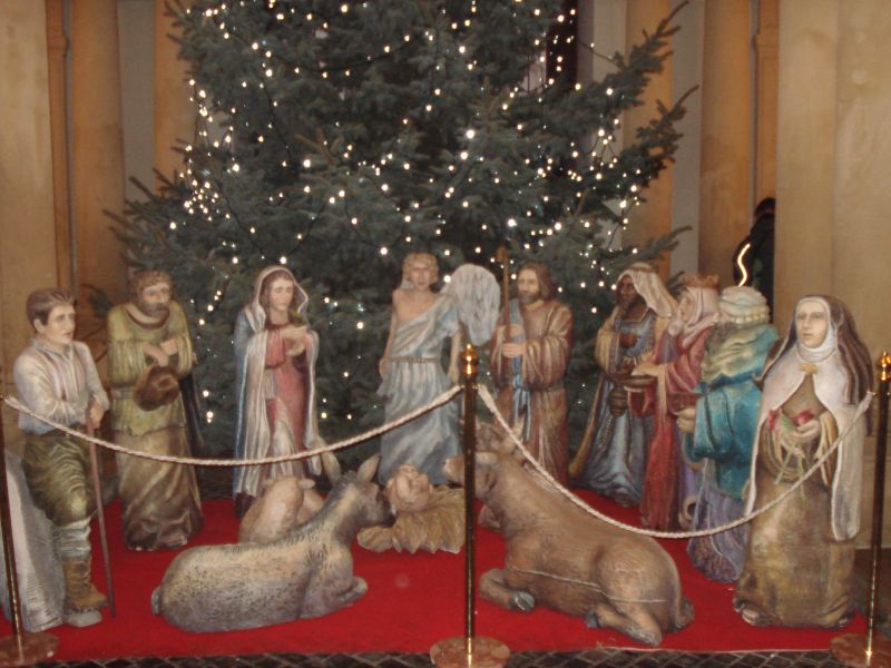 Viewing photos→2010→2010-12-11→65