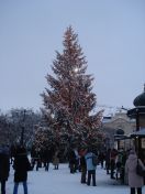 70.jpg - 2010:12:11 14:53:12