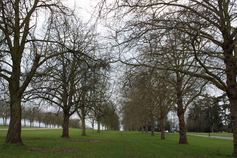 Viewing photos→2011→2011-02-06→034