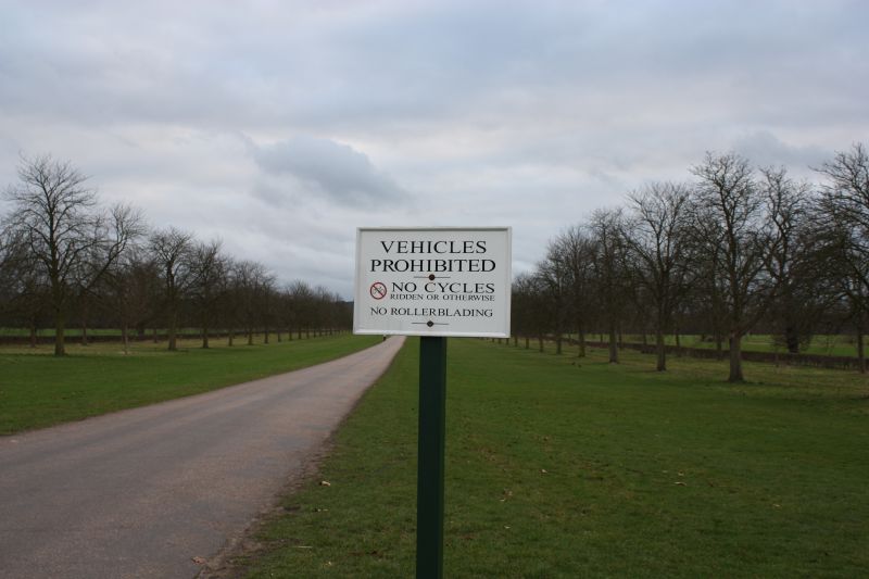 Viewing photos→2011→2011-02-06→035