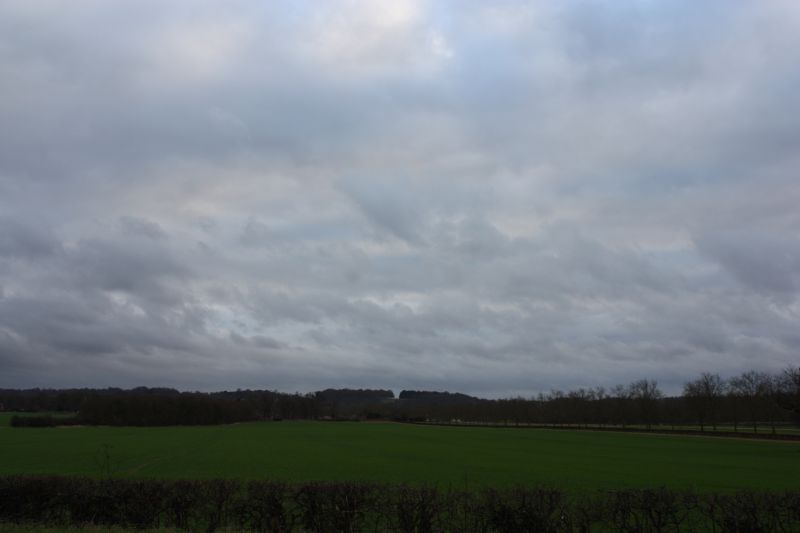 Viewing photos→2011→2011-02-06→036