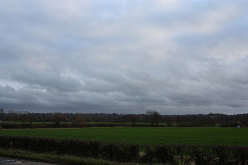 Viewing photos→2011→2011-02-06→038