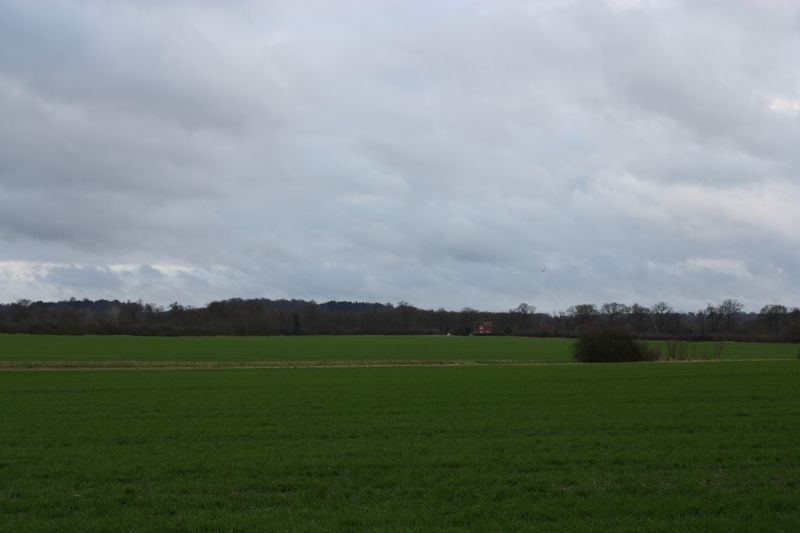 Viewing photos→2011→2011-02-06→043