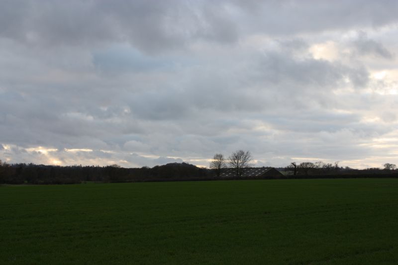 Viewing photos→2011→2011-02-06→045