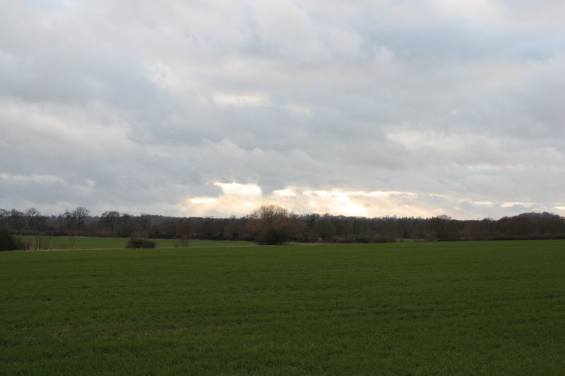 Viewing photos→2011→2011-02-06→047