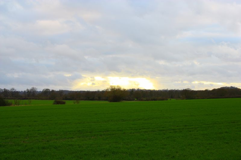 Viewing photos→2011→2011-02-06→048