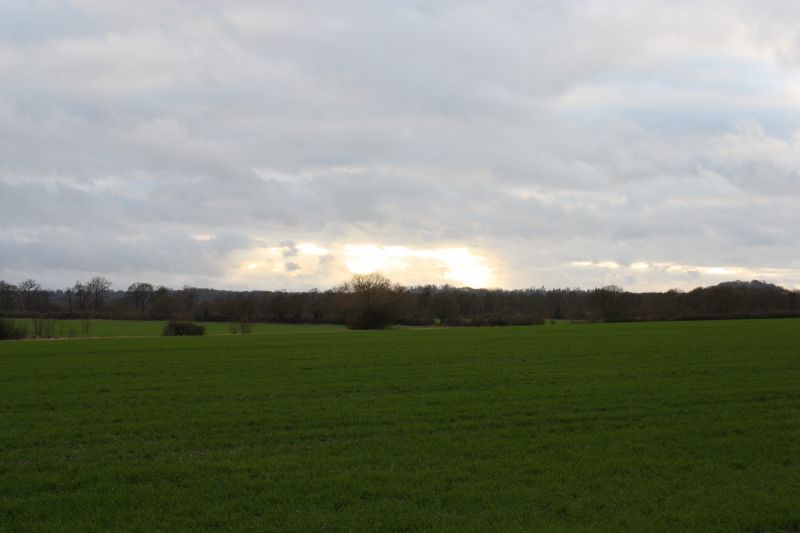 Viewing photos→2011→2011-02-06→050