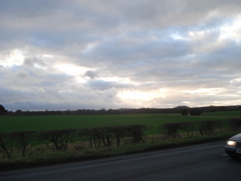 Viewing photos→2011→2011-02-06→071