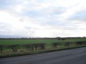 075.jpg - 2011:02:06 16:30:27